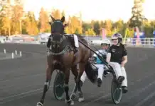 Inför V86: Unik spetsstatistik inför JACKPOTEN Ikväll vankas det jackpot på V86