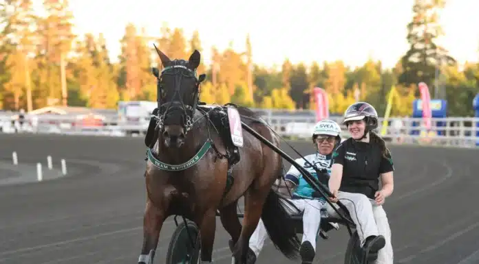 Inför V86: Unik spetsstatistik inför JACKPOTEN Ikväll vankas det jackpot på V86