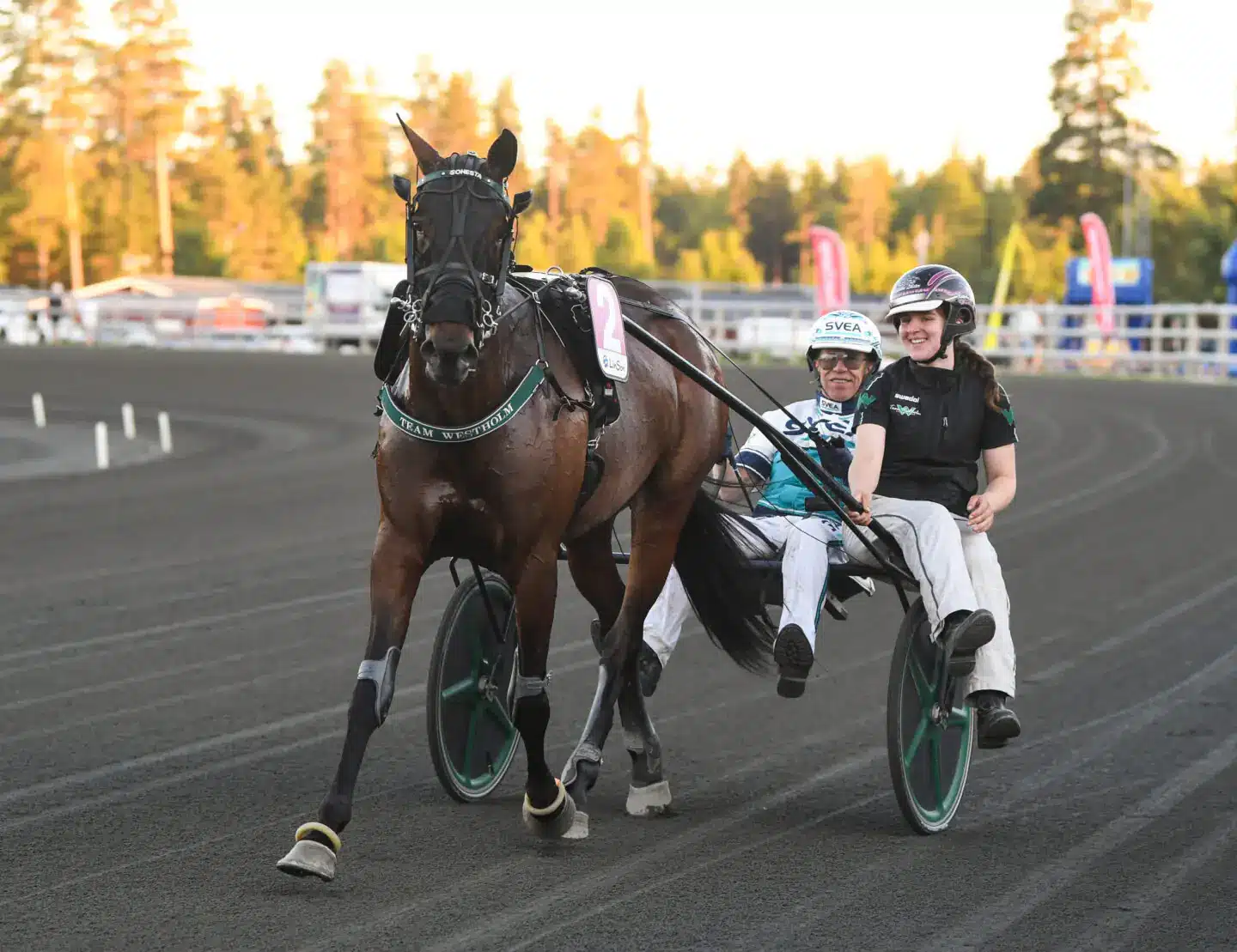 Ikväll vankas det jackpot på V86
