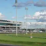 Meadowlands lanserar nytt storlopp the meadowlands kurv vy 01899 1440x810 jpg