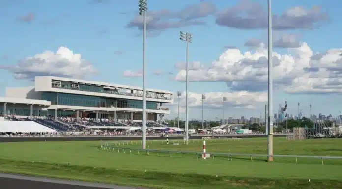 Meadowlands lanserar nytt storlopp the meadowlands kurv vy 01899 1440x810 jpg