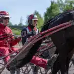 Inför V85 JÄGERSRO lördag: Stallet som vinner flest STL-lopp untersteiners 1440x960 jpg (1)