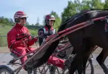 Inför V85 JÄGERSRO lördag: Stallet som vinner flest STL-lopp untersteiners 1440x960 jpg (1)