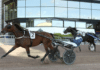 Inför V85 SOLVALLA: Examensprov för Steady Spender examensprov för Steady Spender