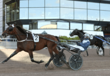Inför V85 SOLVALLA: Examensprov för Steady Spender examensprov för Steady Spender
