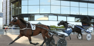Inför V85 SOLVALLA: Examensprov för Steady Spender examensprov för Steady Spender