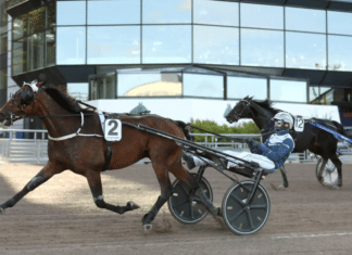 examensprov för Steady Spender