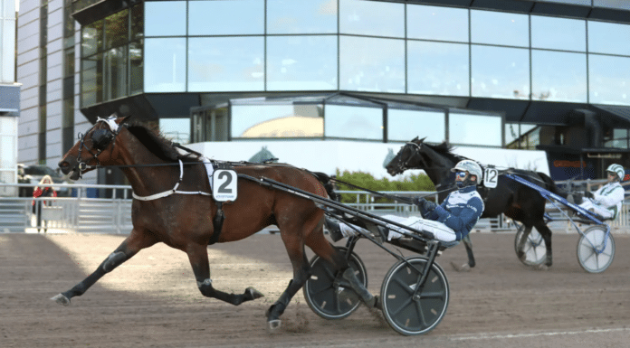 examensprov för Steady Spender