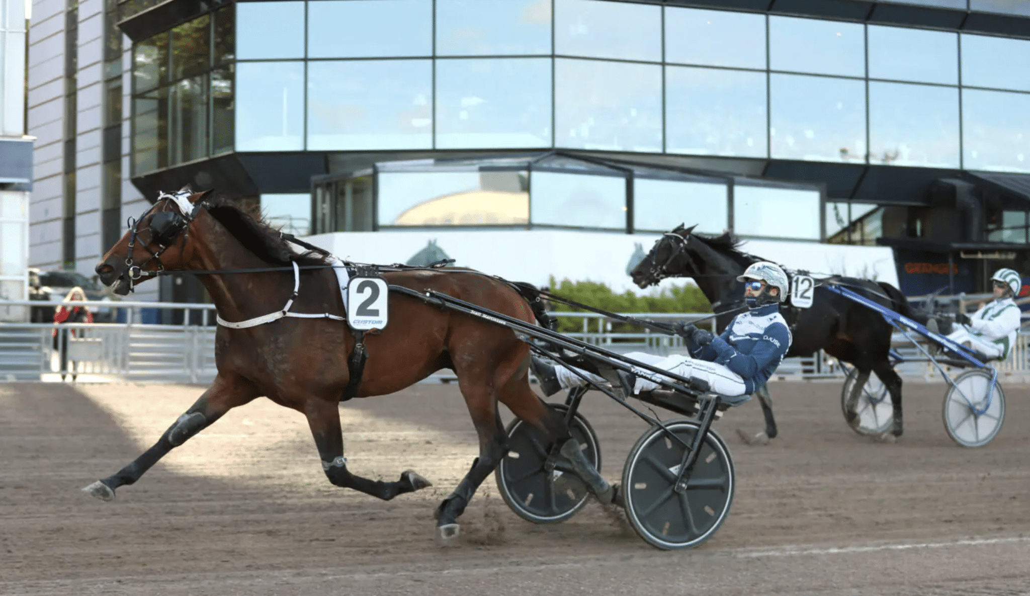 examensprov för Steady Spender