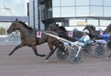 Inför V85 SOLVALLA: Barfota runt om och rycktussar för första gången Inför V85®: Redén maximerar i jakt på fjärde segern i Svenskt Travkriterium
