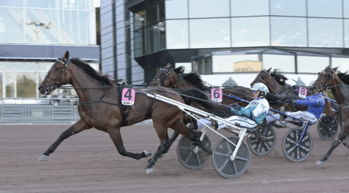Inför V85 SOLVALLA: Barfota runt om och rycktussar för första gången Inför V85®: Redén maximerar i jakt på fjärde segern i Svenskt Travkriterium