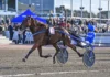Inför V85: Gillar Jägersro – och Müllers Memorial a fair day mal 1440x909 jpg
