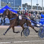 Inför V85: Gillar Jägersro – och Müllers Memorial a fair day mal 1440x909 jpg