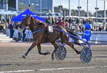 Inför V85: Gillar Jägersro – och Müllers Memorial a fair day mal 1440x909 jpg