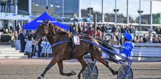 Inför V85: Gillar Jägersro – och Müllers Memorial a fair day mal 1440x909 jpg