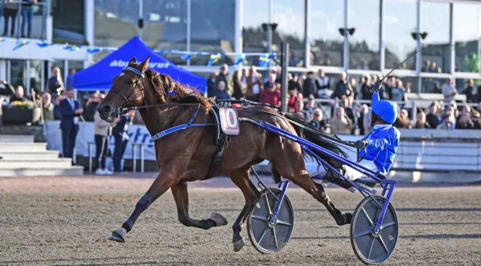 Inför V85: Gillar Jägersro – och Müllers Memorial a fair day mal 1440x909 jpg