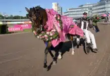 Fästing stoppade världens snabbaste häst allegiant segerdefilerar 1440x929 jpg