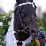 Inför GS75 UMÅKER 25 oktober 2026 angsrask huvud 1440x992 jpg