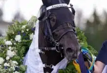 Inför GS75 UMÅKER 25 oktober 2026 angsrask huvud 1440x992 jpg