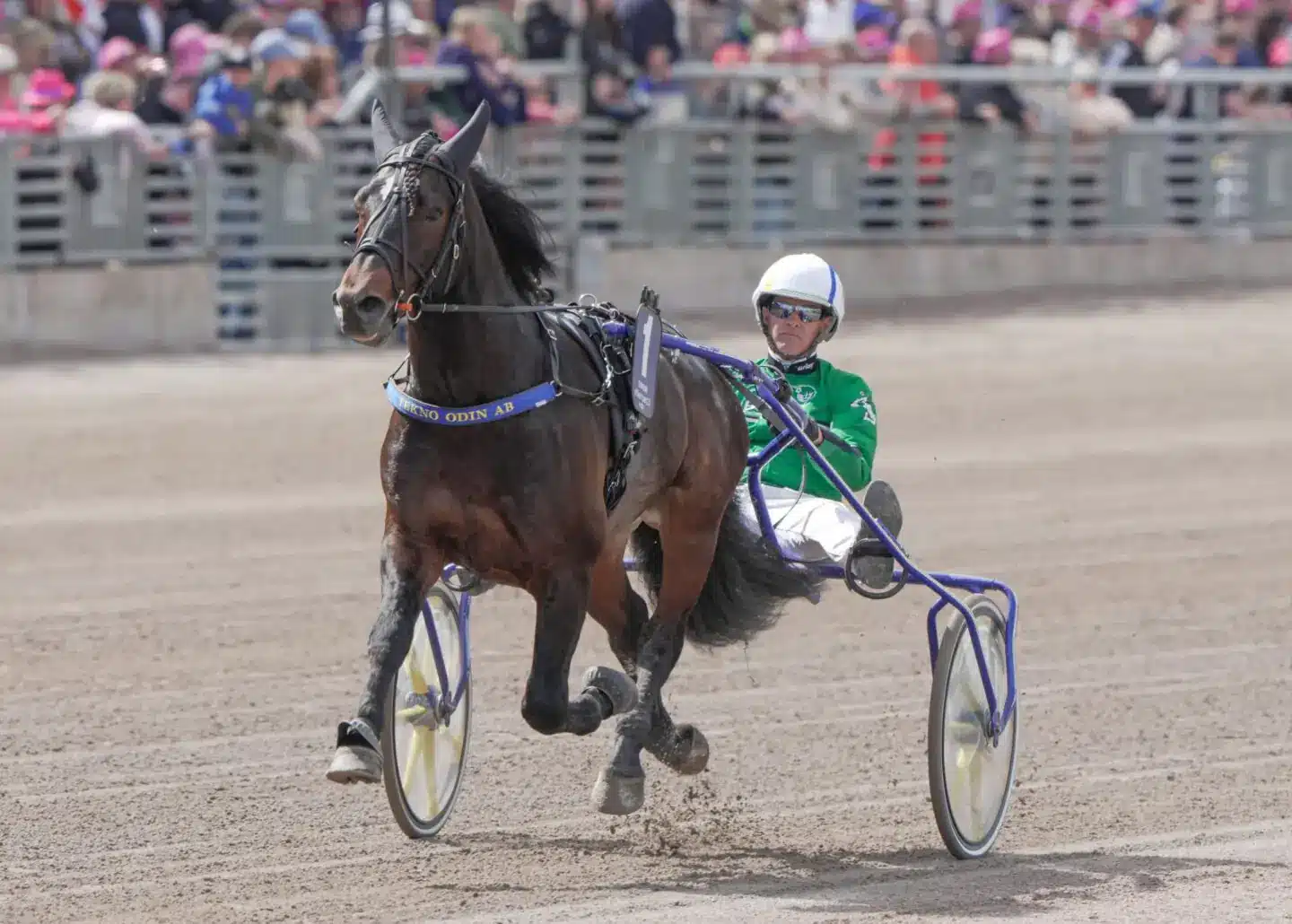 b.w.rune ake svanstedt elitloppssondagen 2023 2 1440x1030 jpg