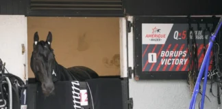 Inför V85 GÄVLE: Nu börjar resan mot Prix d’Amérique borups victory 9082 1440x810 jpg