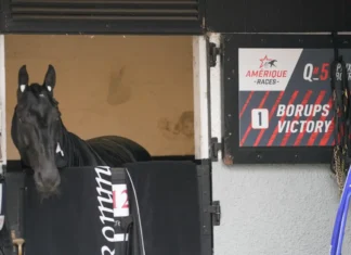 Inför V85 GÄVLE: Nu börjar resan mot Prix d’Amérique borups victory 9082 1440x810 jpg