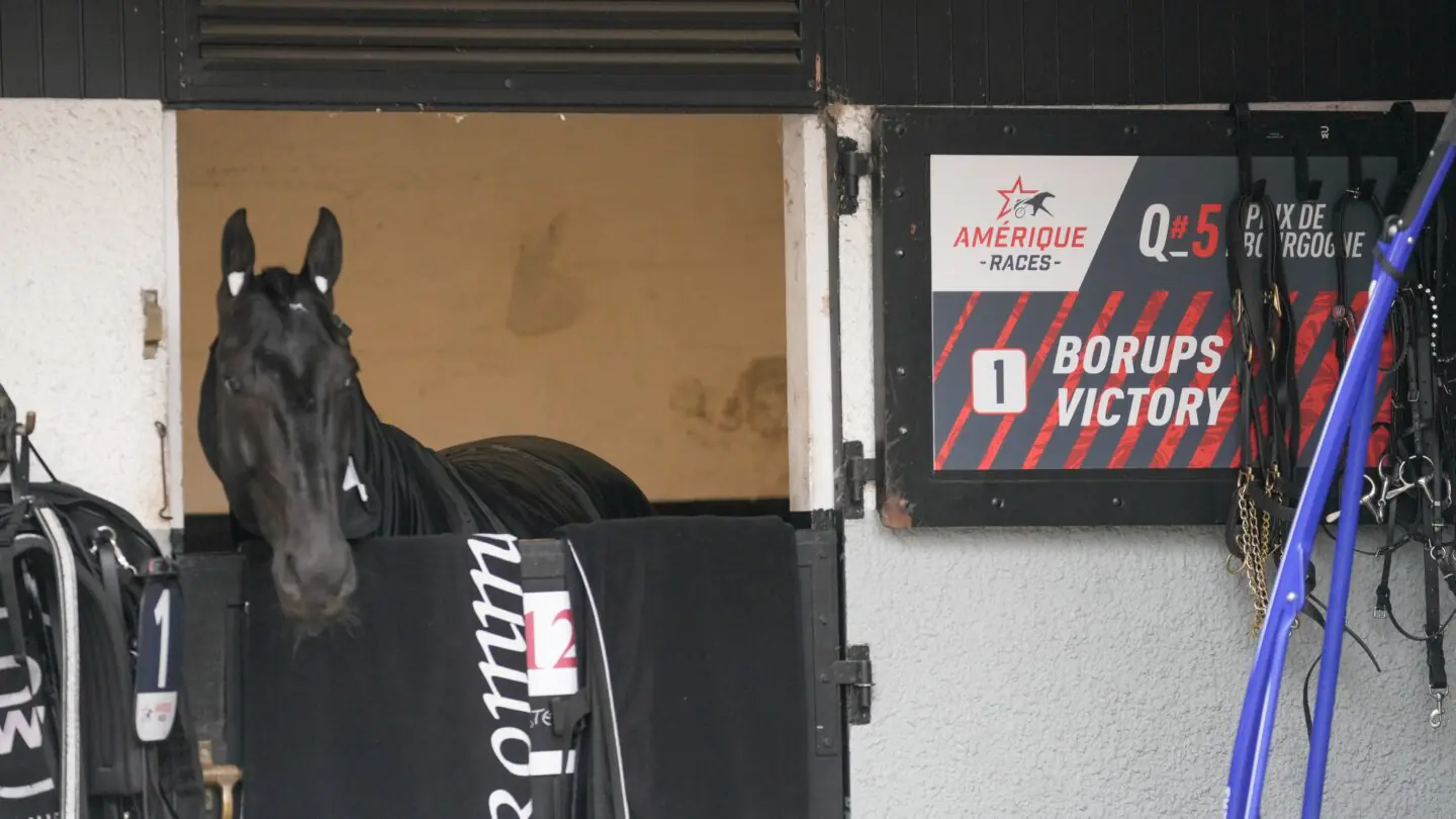 borups victory 9082 1440x810 jpg