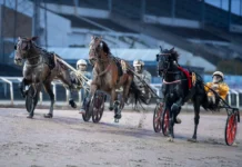 Resultat & eftersnack V85 JÄGERSRO 24 oktober 2026 boscha diablo malgang 1440x960 jpg (1)