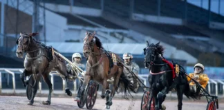 Resultat & eftersnack V85 JÄGERSRO 24 oktober 2026 boscha diablo malgang 1440x960 jpg (1)