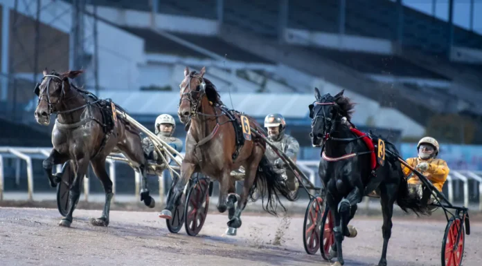 Resultat & eftersnack V85 JÄGERSRO 24 oktober 2026 boscha diablo malgang 1440x960 jpg (1)