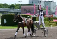 Francesco Zet tackas av på Solvalla daniel reden star upp i vagnen bakom francesco zet 1440x810 jpg