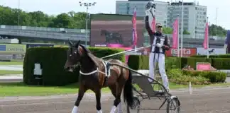 Francesco Zet tackas av på Solvalla daniel reden star upp i vagnen bakom francesco zet 1440x810 jpg