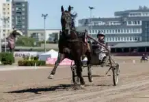 Bra spår för svenskhoppen i Turin don fanucci zet varmning i bakvarv 1440x960 jpg