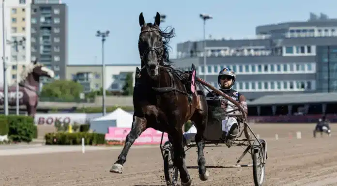 Bra spår för svenskhoppen i Turin don fanucci zet varmning i bakvarv 1440x960 jpg