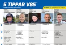 Fem tippar V85 till SOLVALLA 10 oktober 2026 fem tippar v41 v85