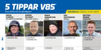 Fem tippar V85 till SOLVALLA 10 oktober 2026 fem tippar v41 v85