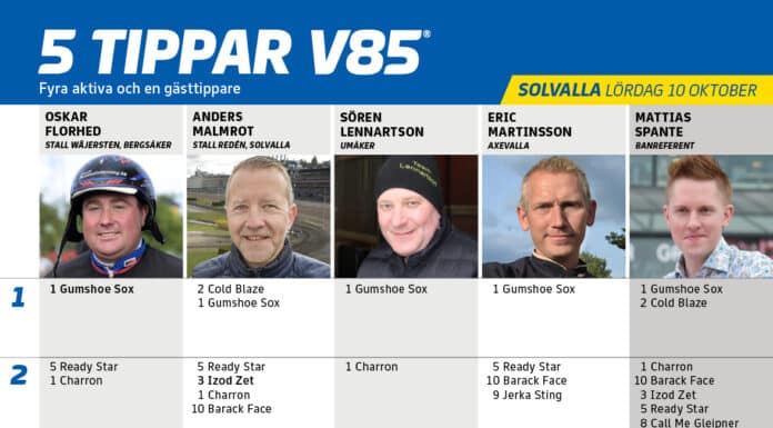 fem tippar v41 v85