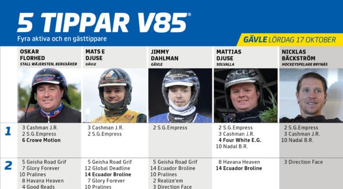 Fem tippar V85 till GÄVLE 17 oktober 2026 fem tippar v85 v42 scaled