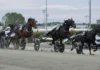 Frank Gio grym i UET Elite Circuit Final – Plockade ner Don Fanucci Zet från dödens frank gio 1440x784 jpg