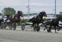 Frank Gio grym i UET Elite Circuit Final – Plockade ner Don Fanucci Zet från dödens frank gio 1440x784 jpg