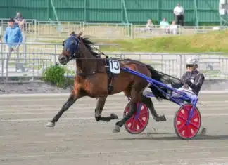 UNIK STATISTIK inför V85 GÄVLE 17 oktober 2026 havana heaven ulf ohlsson 01235 1440x892 jpg