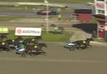 Inför V85 GÄVLE: Hon har spetsat i samtliga starter haylee eagra jpg
