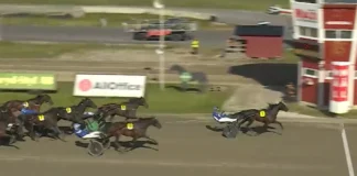 Inför V85 GÄVLE: Hon har spetsat i samtliga starter haylee eagra jpg