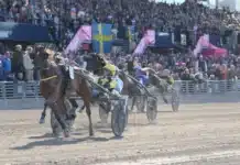 Harpers-vinnaren skoningslös i vintermeetingets premiär inmarosa mal 720x449 jpg