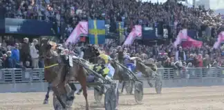Harpers-vinnaren skoningslös i vintermeetingets premiär inmarosa mal 720x449 jpg