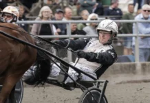 Avstängningen hävd – testsvaret felaktigt magnus jakobsson i lopp 1440x960 jpg