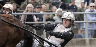 Avstängningen hävd – testsvaret felaktigt magnus jakobsson i lopp 1440x960 jpg