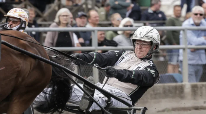 Avstängningen hävd – testsvaret felaktigt magnus jakobsson i lopp 1440x960 jpg