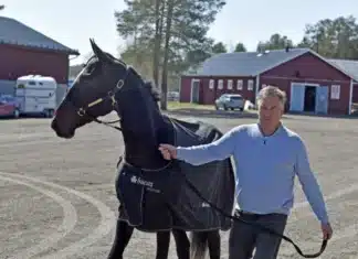 Inför V85 BJERKE: Dubbla klartecken från Pihlström markus pihlstrom jaguar godiva 720x480 jpg