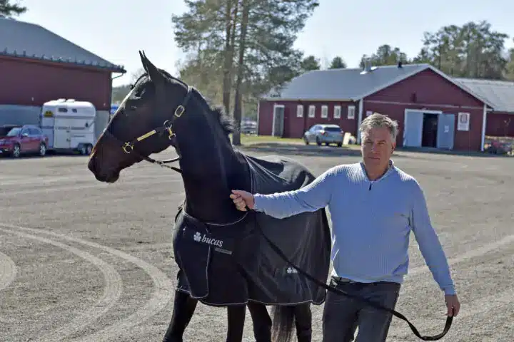 markus pihlstrom jaguar godiva 720x480 jpg